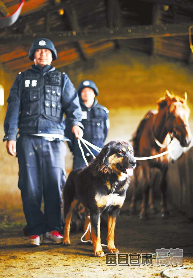 走近甘肅第一支草原騎警大隊(組圖)