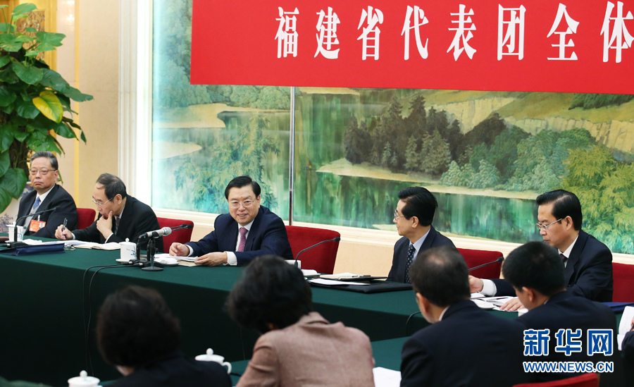 習近平等分別參加全國人大會議一些代表團審議