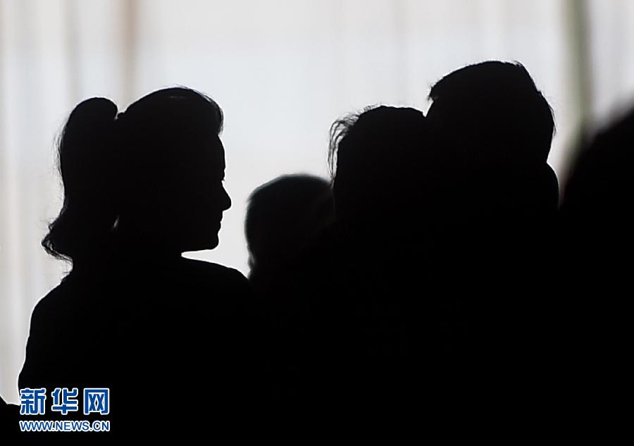 兩會：委員身影