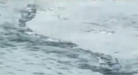 冰島百年水怪今日終現身?盤點幽藍世界詭異“怪獸”