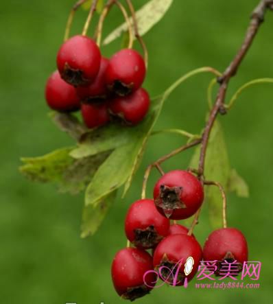 春季飲食養生方法 要記住五多五少