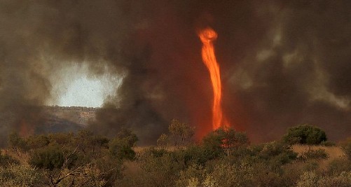 澳大利亞驚現30米高“火焰龍卷風” 持續40分鐘