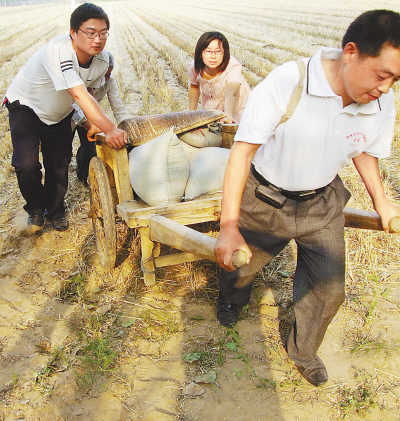 十年黨員干部隊伍建設成果豐厚——根基更堅實 骨干更健碩（輝煌·十年）