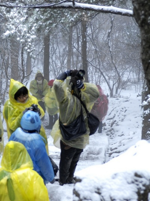 安徽黃山風景區迎降入冬首場盛雪 驚羨拍雪客