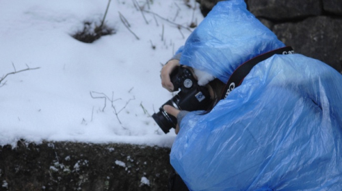 安徽黃山風景區(qū)迎降入冬首場盛雪 驚羨拍雪客