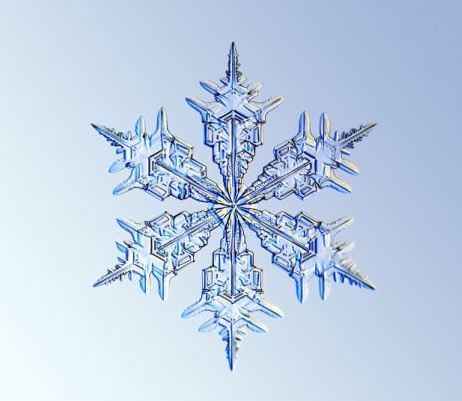 怎一個美字了得！美國科學(xué)家?guī)闶フQ看雪花(圖)