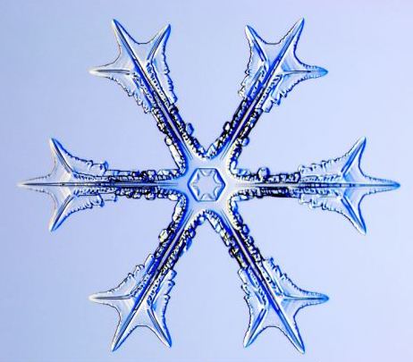 怎一個美字了得！美國科學家?guī)闶フQ看雪花(圖)