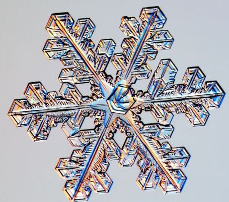 怎一個美字了得！美國科學家帶你圣誕看雪花(圖)