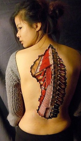 膽小勿看！ 藝術(shù)家?guī)?#8220;撕裂”人體看個(gè)究竟