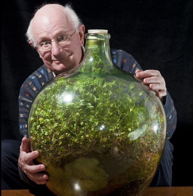 綠植瓶封40年仍長勢旺盛 靠光合作用自給自足