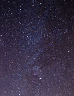 科學家首次發(fā)現(xiàn)“屎殼郎”能依靠星光進行導航