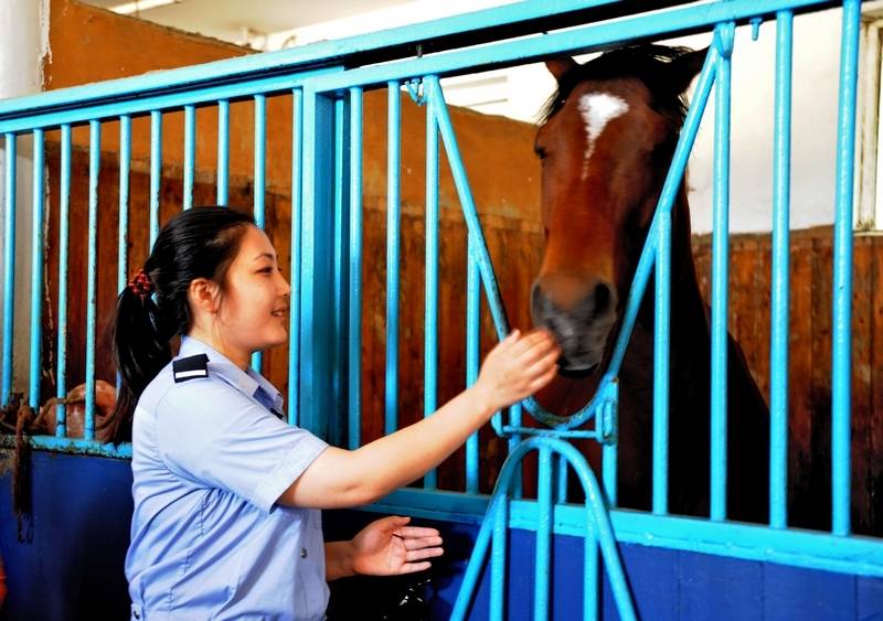 每匹馬養(yǎng)護(hù)成本2500元/月?探秘大連女騎警訓(xùn)練基地