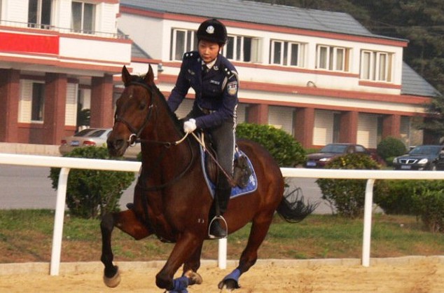 每匹馬養護成本2500元/月?探秘大連女騎警訓練基地