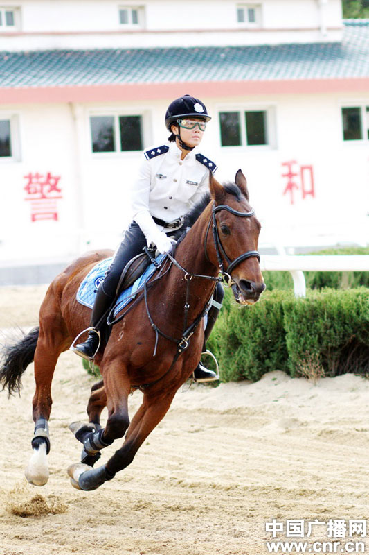 每匹馬養護成本2500元/月?探秘大連女騎警訓練基地