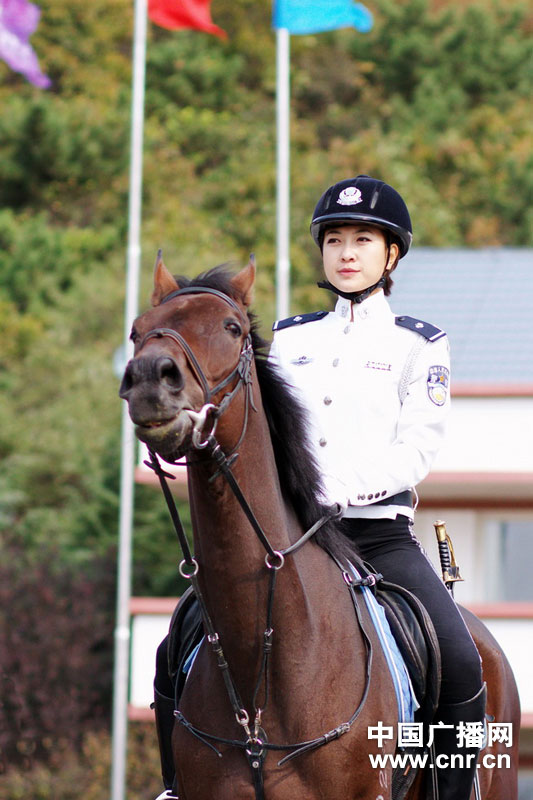 每匹馬養護成本2500元/月?探秘大連女騎警訓練基地