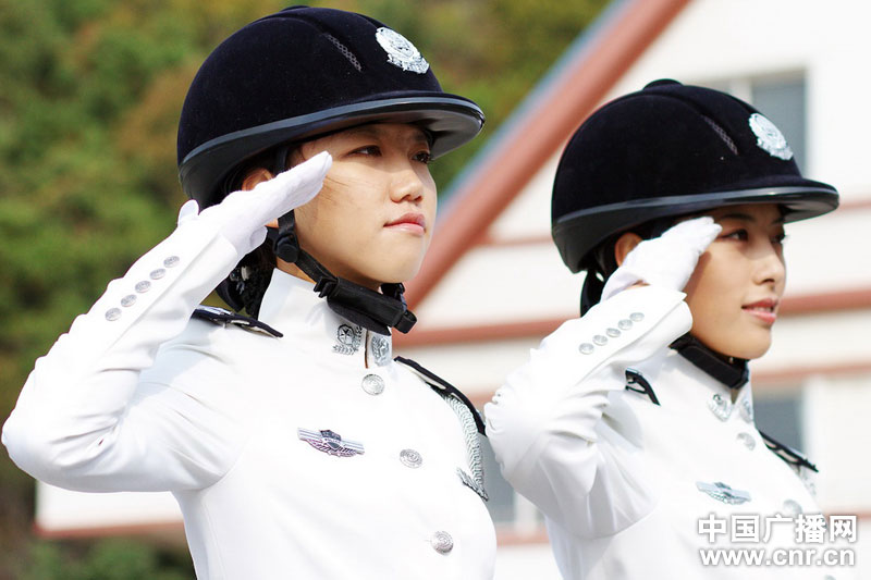 每匹馬養(yǎng)護(hù)成本2500元/月?探秘大連女騎警訓(xùn)練基地