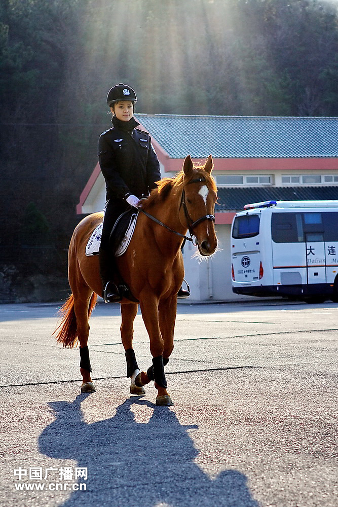 每匹馬養(yǎng)護(hù)成本2500元/月?探秘大連女騎警訓(xùn)練基地