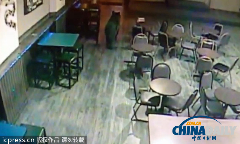 黑熊大搖大擺闖進(jìn)美國酒吧 顧客竟全然不知