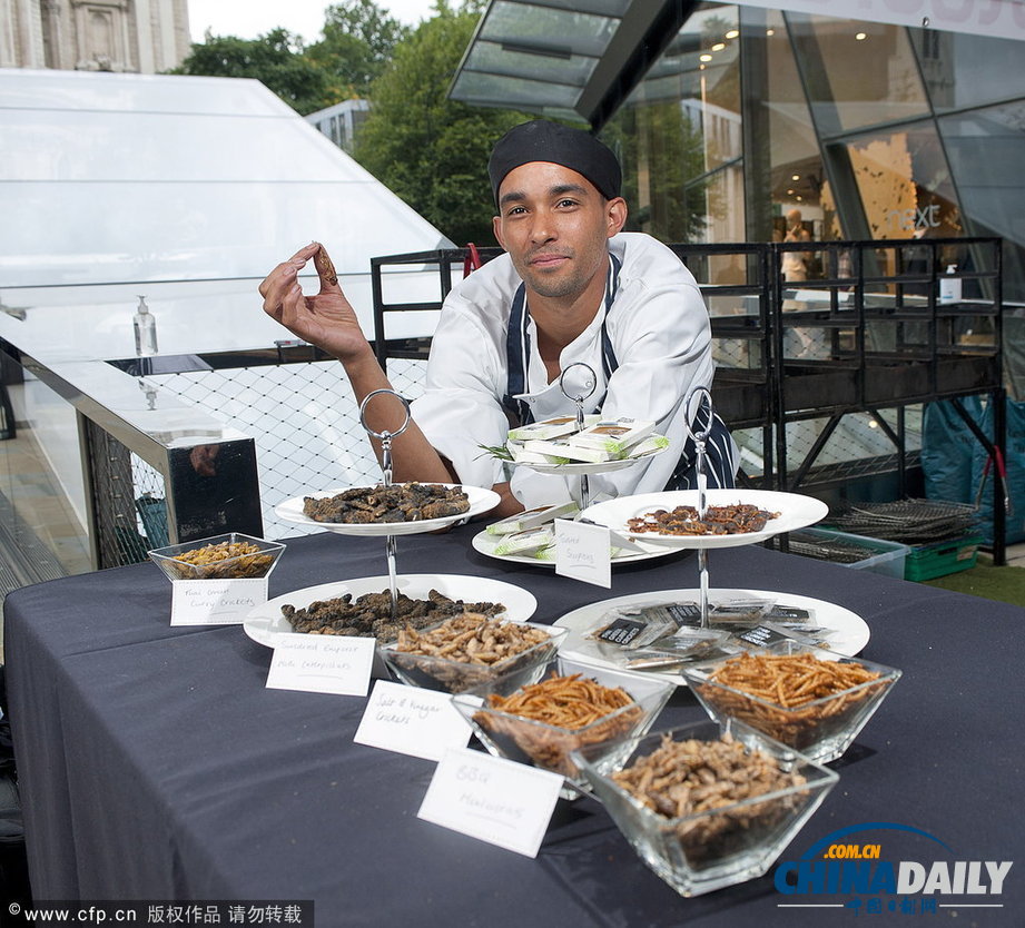 英國(guó)推出重口味昆蟲(chóng)美食 “蝎子料理”驚嚇度爆表（高清組圖）