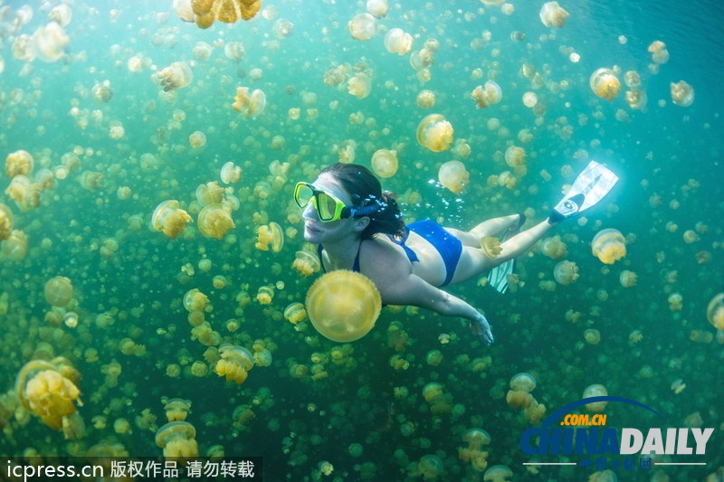 比基尼美女與水母同游 夢(mèng)幻場(chǎng)景亦幻亦真 <BR>