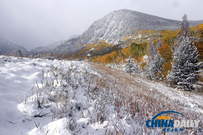 美中西部遭遇罕見暴風雪 積雪近尺林肯像被覆