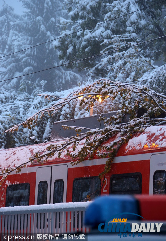 德國巴伐利亞大雪成災 鐵路交通陷于癱瘓（圖）