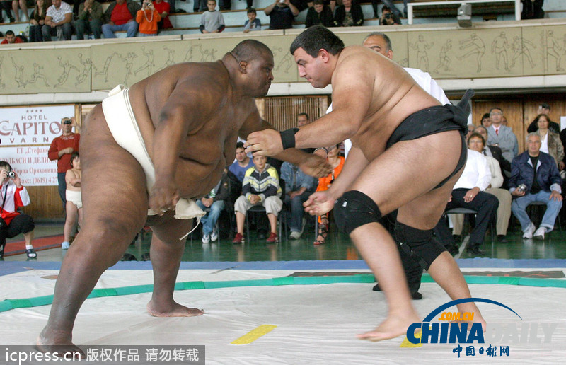 世界最胖運動員體重326公斤 憑臃腫身材稱霸相撲界