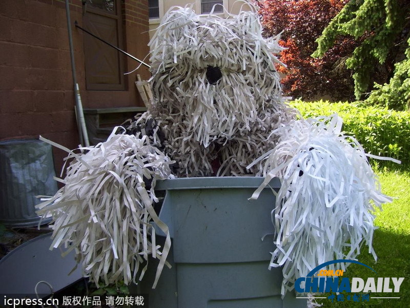 美國男子自認為狗 愛穿狗服上街閑逛