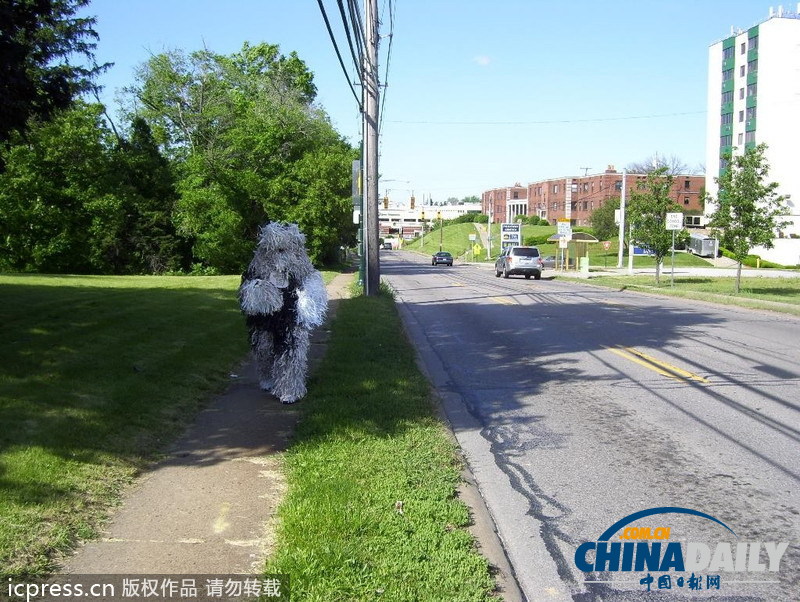 美國男子自認為狗 愛穿狗服上街閑逛