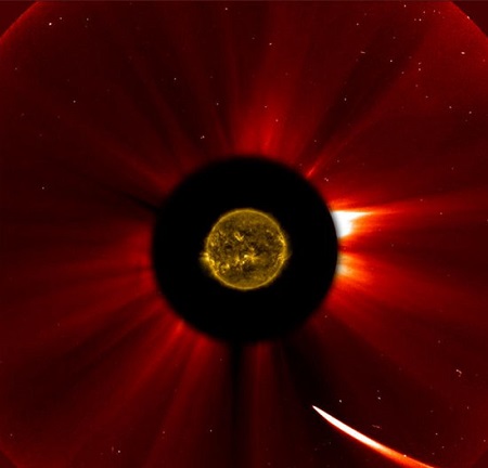 追日“世紀彗星”核心或留存 可能再綻光芒(圖)