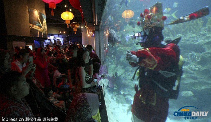 水下舞獅財(cái)神拜年 馬來西亞一水族館喜迎中國年