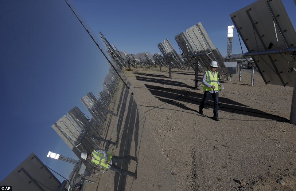 世界最大太陽能發電廠挨批 飛鳥誤闖后羽毛被烤焦