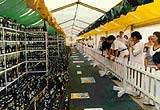 Bierborse(啤酒節)