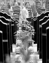 清明節 (April 4)