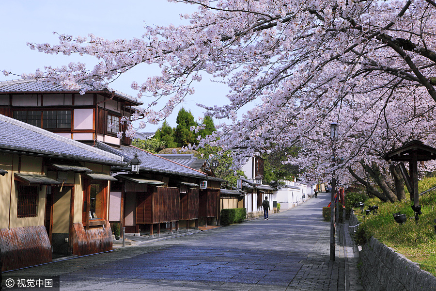 2018年春節(jié)國(guó)人最愛去的十大境外旅游地（組圖）