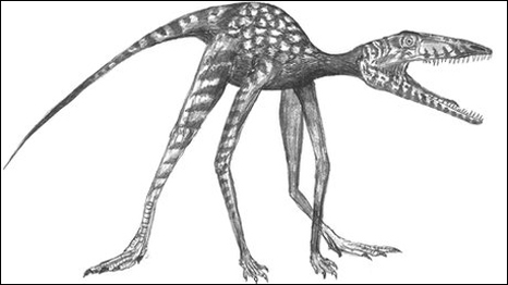 Oldest Dinosaur Fossils Found 恐龍化石新發現