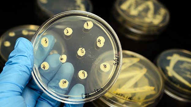 Man vs bacteria 人類對抗細(xì)菌