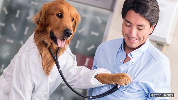 The dogs who safeguard our hearts 養(yǎng)狗能保護(hù)我們的心臟健康