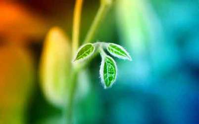 打破常規(guī) 開(kāi)始新生活 Renew your life!Change Up the Routine