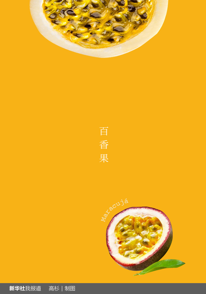 “瘋狂水果城”里約：給你點顏色瞧瞧！