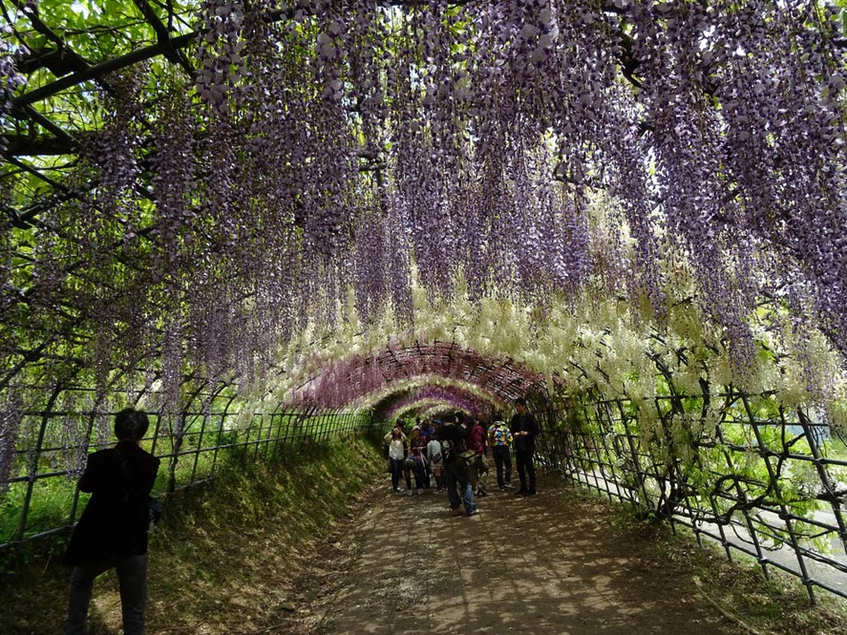 繽紛、靈動(dòng)、斑斕：世界上最美的18座花園