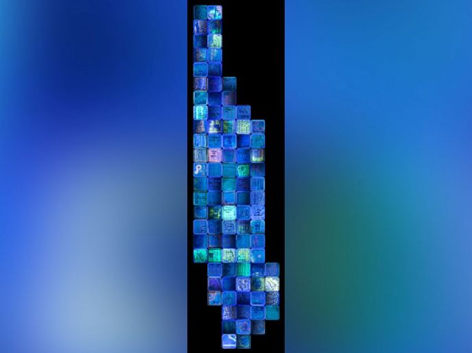 科學家的另類藝術：細菌作畫