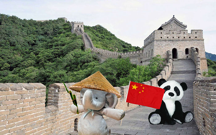 寶貝，你的小象不是丟了，而是去環(huán)游世界了（組圖）