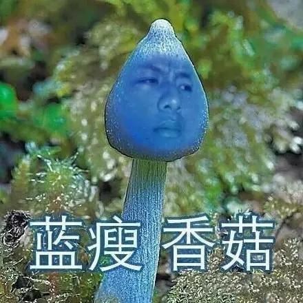 盤點：2016年度網絡熱詞你全懂嗎？（組圖）