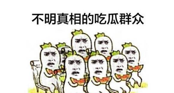盤點：2016年度網(wǎng)絡(luò)熱詞你全懂嗎？（組圖）