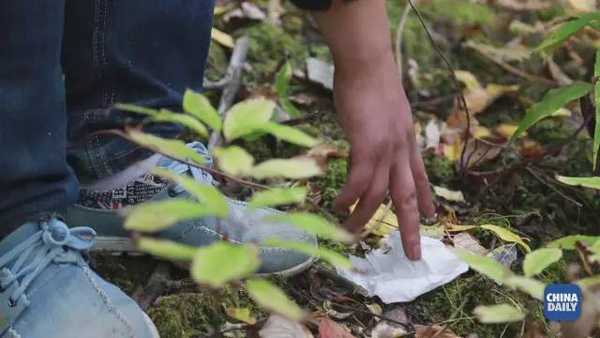 小康之路：他們曾經(jīng)是伐木人，如今卻成了護林員和藏香廠老板丨解碼中國