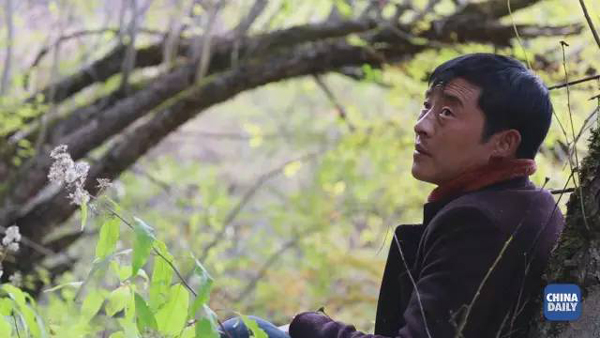 小康之路：他們曾經(jīng)是伐木人，如今卻成了護林員和藏香廠老板丨解碼中國