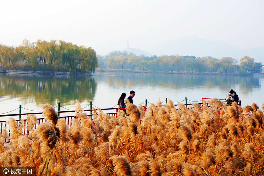 北京頤和園迎初冬 迷人景象似江南水鄉（組圖）