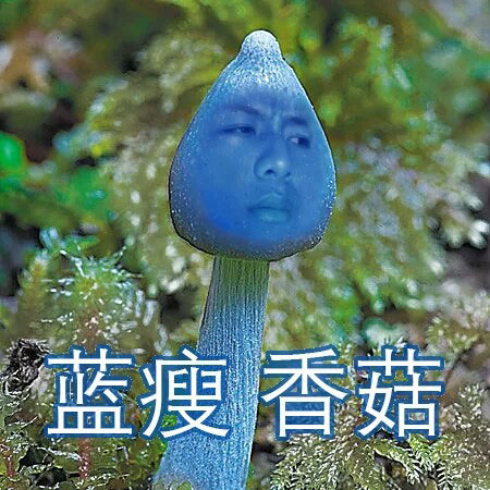 2016年十大網(wǎng)絡(luò)流行語