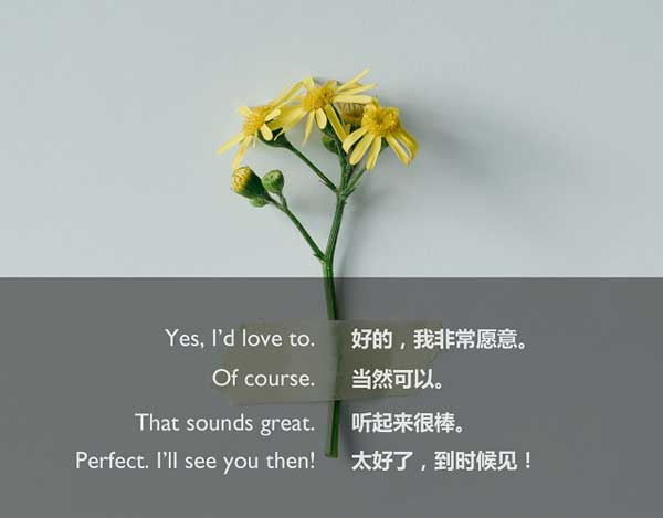 情人節英語攻略